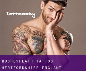 Busheyheath tattoo (Hertfordshire, England)